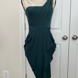BCBG maxazria Julieta dress.